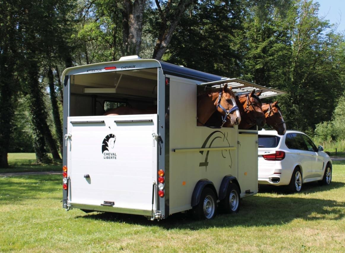Cheval liberté 3places MAXI 3 2021 – Image 4