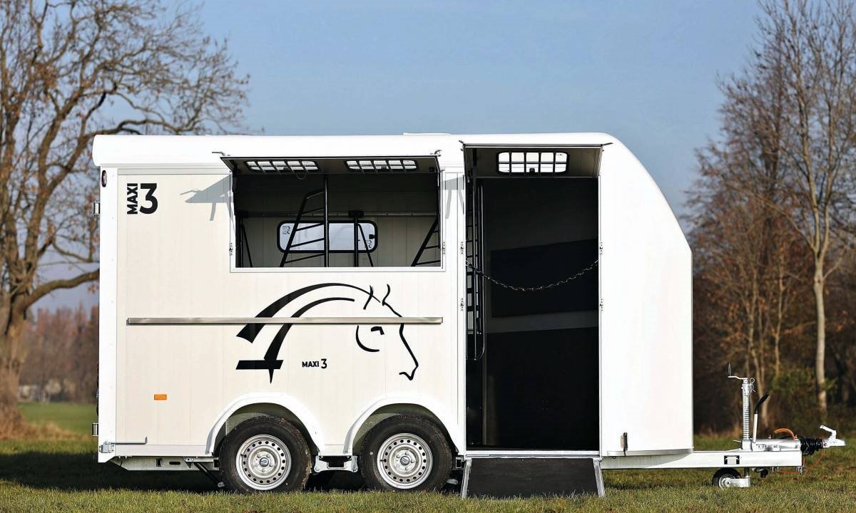 Cheval liberté 3places MAXI 3 2021 – Image 8