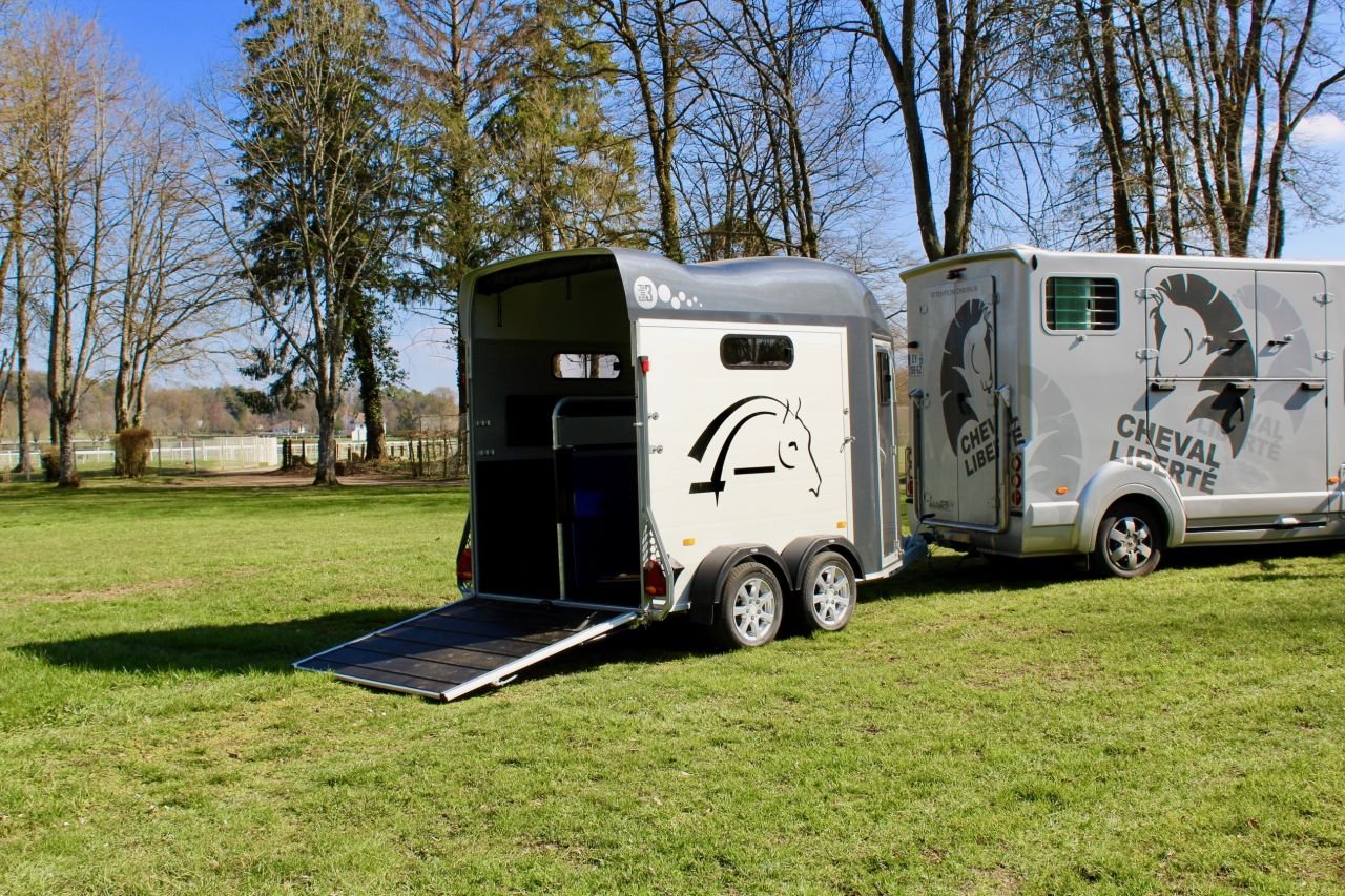 VAN CHEVAL LIBERTE GOLD 3 – Image 5