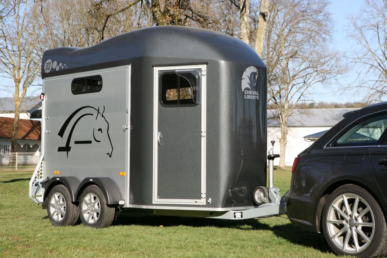 VAN CHEVAL LIBERTE GOLD 3 – Image 6