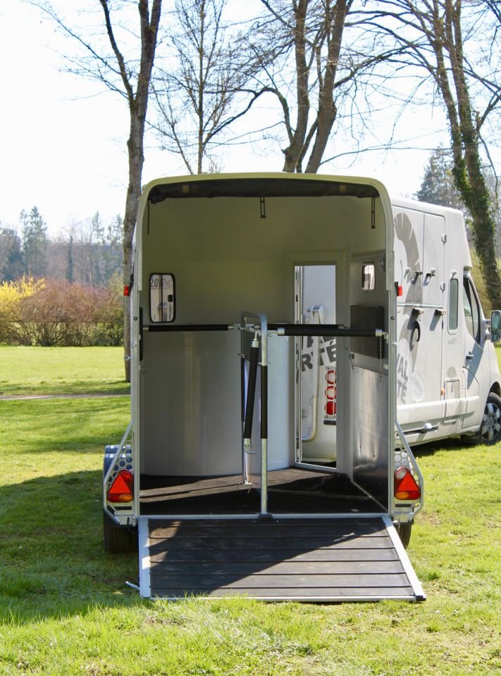 VAN CHEVAL LIBERTE GOLD 3 – Image 7