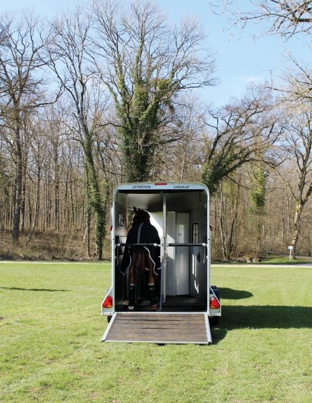 Van Cheval Liberté 2pl touring – Image 4