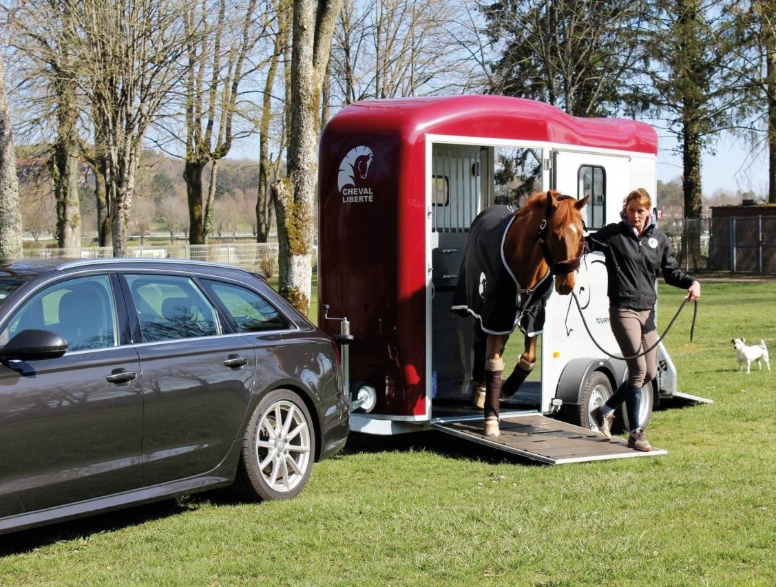 Van Cheval Liberté 2pl touring – Image 5