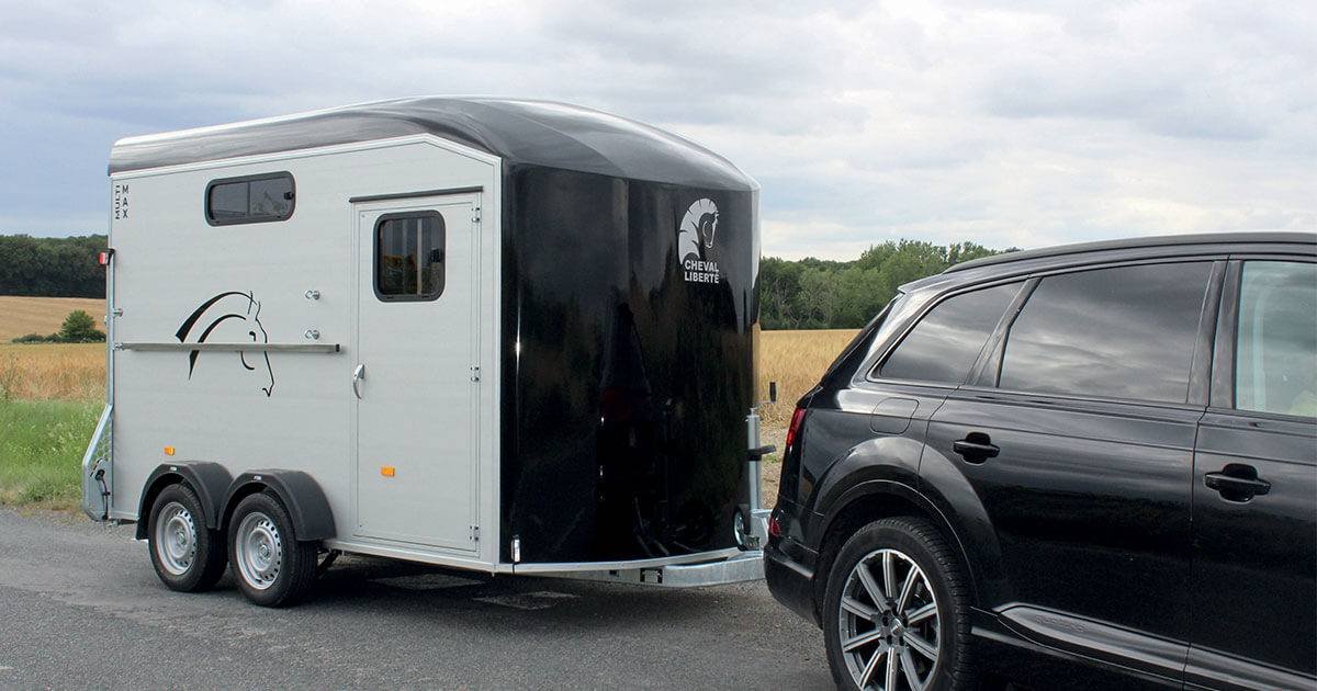 CHEVAL LIBERTE - MULTIMAX – Image 2