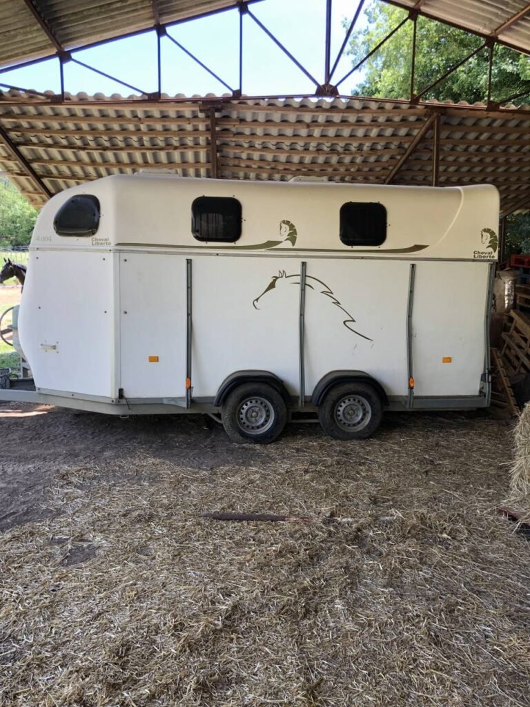 Van 4 places